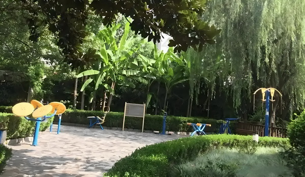 人才引进加分_重绘仙侠世界《凡人修仙传》开播 带雨的真正如在热菌林里生长